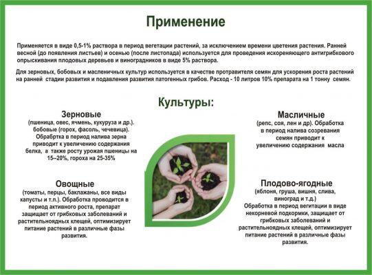2 стр -01 rgb